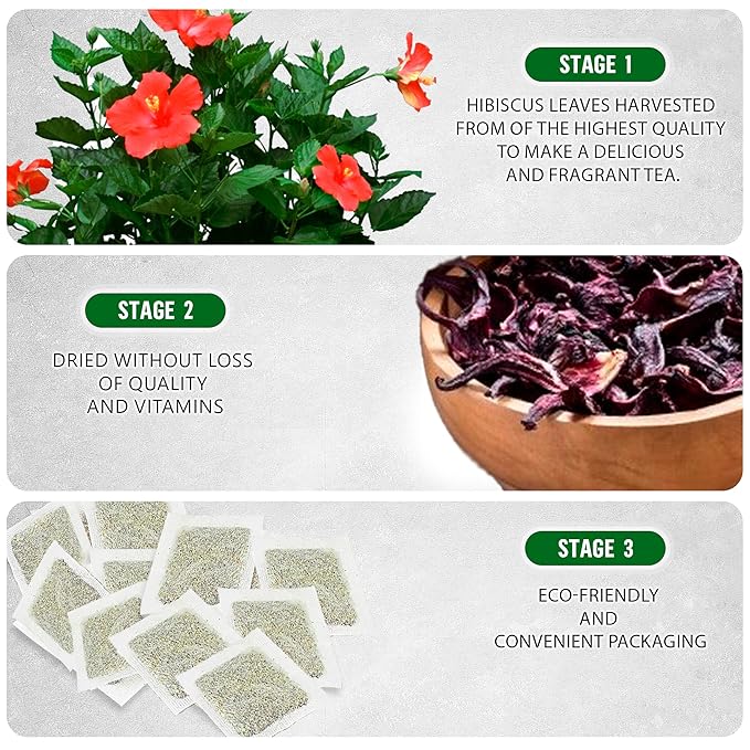 TeaDreamTea Hibiscus Tea Bags | 300 Bleach-Free Tea Bags | Caffeine Free | Dried Hibiscus Flowers | Hibiscus Flower Tea | Dried Flower Tea | Herbal hibiscus