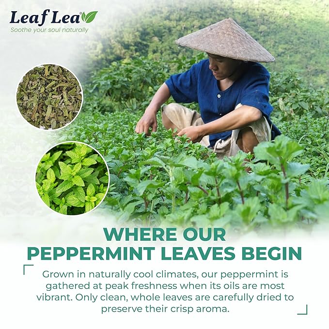 LeafLea 80 Premium Peppermint Tea Bags, 100% Natural Peppermint Leaf Tea, Te de Menta for Soothing Throat & Refreshing Breath, Light and Smooth Flavor, Caffeine-Free, Sugar-Free, Individually Wrapped