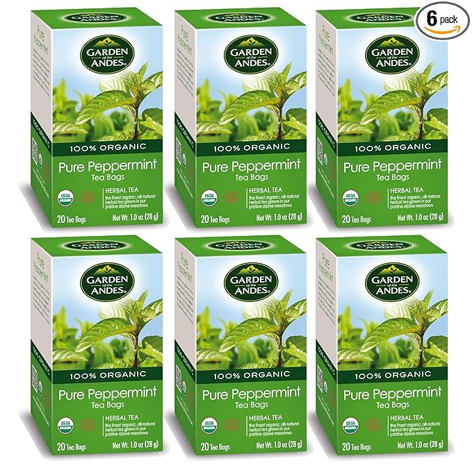 Garden of the Andes - Peppermint Tea - 6 x 20 Tea Bags (120 Count) - USDA Organic Caffeine-Free Herbal Infusion - Refreshing menthol aroma and digestive support