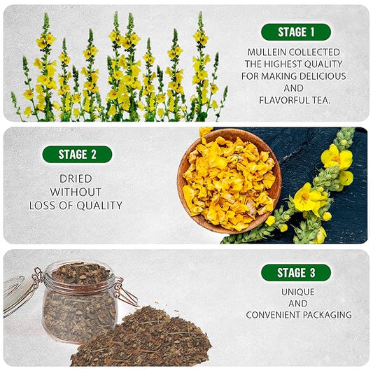 TeaDreamTea Dried Mullein Herbal Tea - Natural Mullein Flowers 3 OZ Loose Tea - Caffeine-Free - Pure Natural Premium Mullein Leaf - Mullein Herbal Teas with Cleanse Detox & Respiratory Support Effect