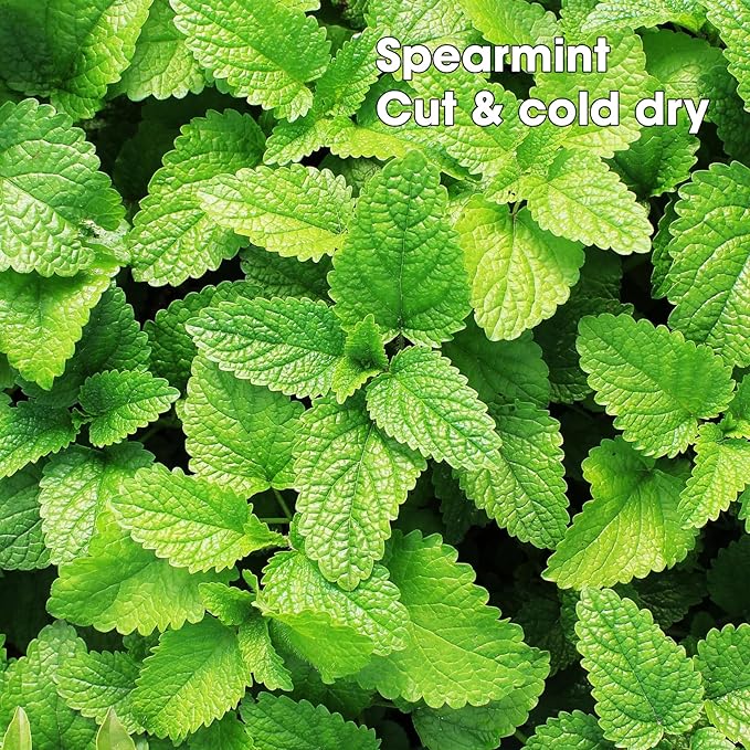 TFATHER Spearmint Tea Bags Pyramid with String - Sweet & Delicate of Menthol - Throat Soothing for Cough & Mucus Relief, Stress Relief, Digestion & Immune Support - Premium Spearmint Leaves