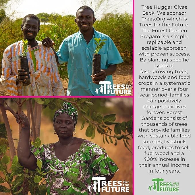 Tree Hugger Bubble Gum, Citrus Berry, Natural Flavors, No Artificial Colors, 1.6 Ounce (Pack of 12)