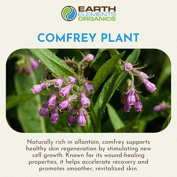 Comfrey Oil Raw with Sunflower Oil, Infused, Pressed Herbal Remedy, Support for Bruises, Sore Muscles, and Healthy Skin, Organic Skincare for All Skin Types - 1 fl oz
