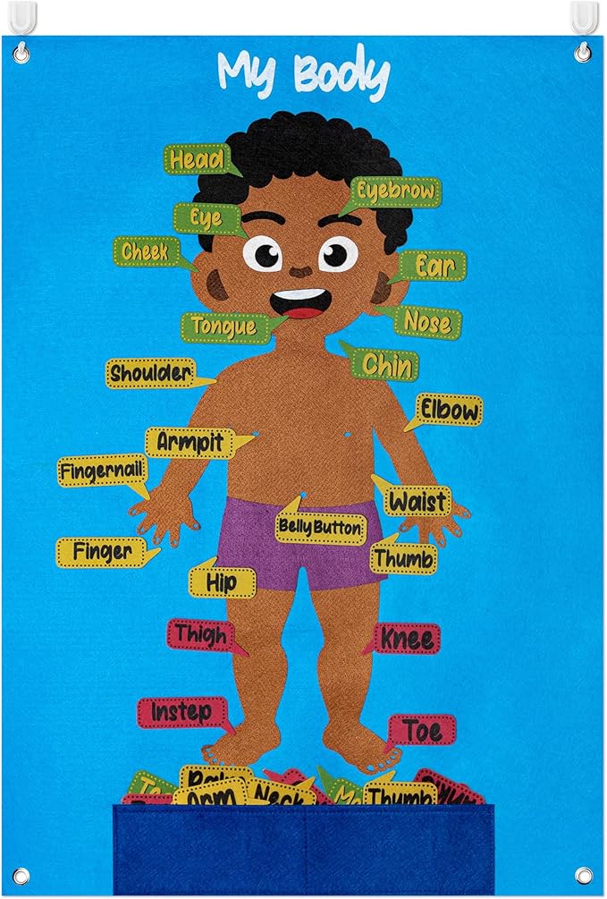 WATINC 35Pcs Brown Skin Color Body Parts Learning Felt Story Board Set, Human Organ Educational Teaching Storytelling Kit, Early Learning Interactive Play Wall Hanging Gift for Toddlers Kids