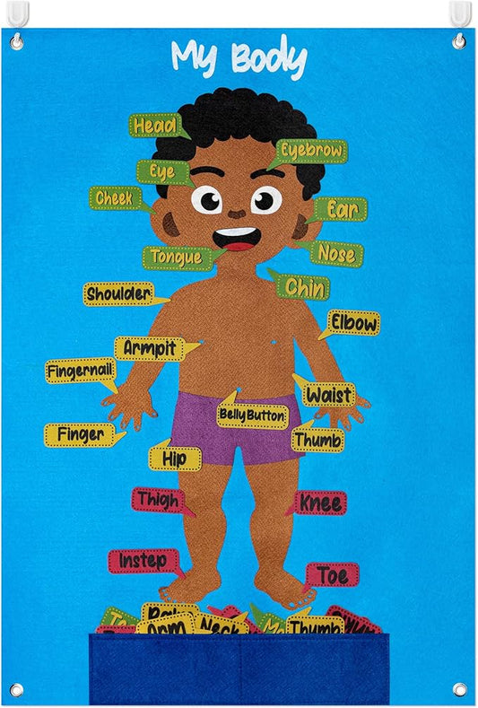 WATINC 35Pcs Brown Skin Color Body Parts Learning Felt Story Board Set, Human Organ Educational Teaching Storytelling Kit, Early Learning Interactive Play Wall Hanging Gift for Toddlers Kids