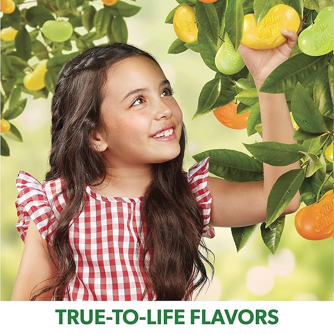 Jelly Belly Green Apple Jelly Beans - 1 Pound (16 Ounces) Resealable Bag - Genuine, Official, Straight from the Source