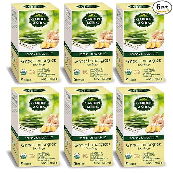 Garden of the Andes - Organic Ginger Lemongrass Tea - 20 Tea Bags/Box, Pack of 6 (120 ct.) - Caffeine-Free Herbal Infusion - Supports Digestive Wellness & Calming Comfort