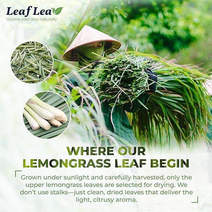 LeafLea 80 Premium Lemongrass Tea Bags, Natural Herbal Lemongrass Leaves, Te de Limoncillo for Digestion Support, Light & Soothing Taste, Caffeine-Free, Sugar-Free, Vegan, Individually Wrapped